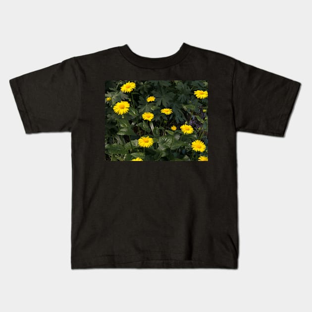 Daisy's in the garden. Kids T-Shirt by CanadianWild418